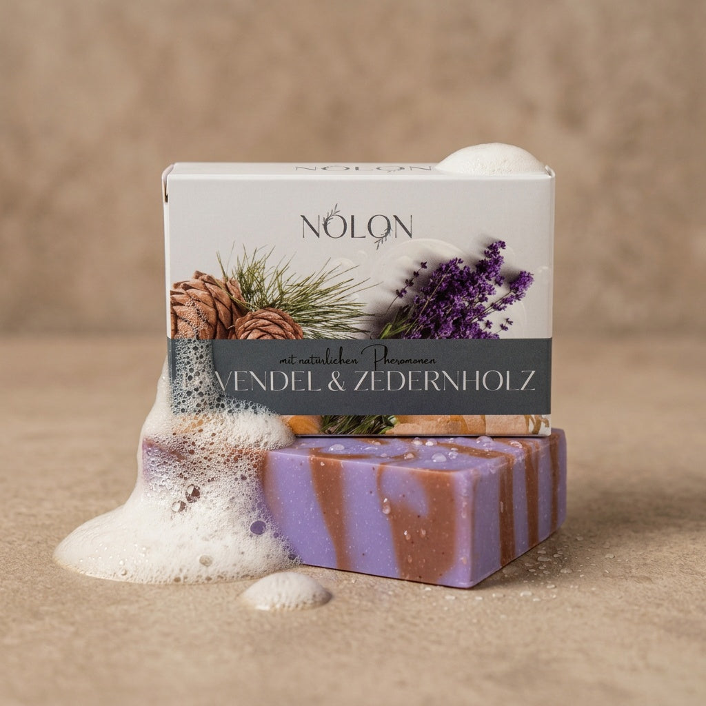 Frühlings-Starter Set