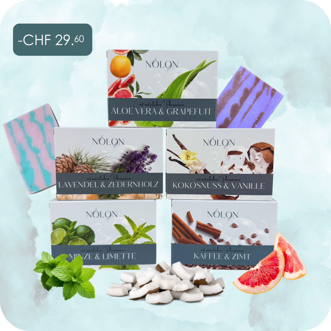 NOLON Winter Starter Set
